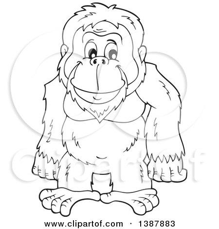 Clipart of a Cartoon Black and White Lineart Happy Orangutan Monkey - Royalty Free Vector Illustration by visekart