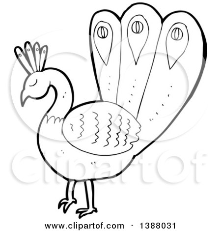 Clipart of a Cartoon Black and White Lineart Peacock - Royalty Free Vector Illustration by lineartestpilot