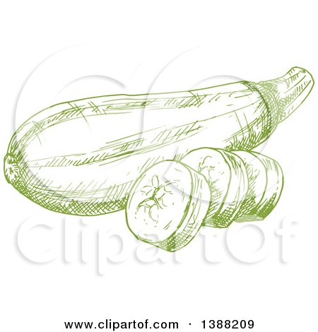 Clipart of a Sketched Green Zucchini - Royalty Free Vector Illustration by Vector Tradition SM