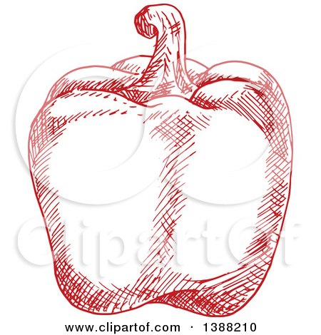 Royalty-Free (RF) Clipart of Bell Peppers, Illustrations, Vector