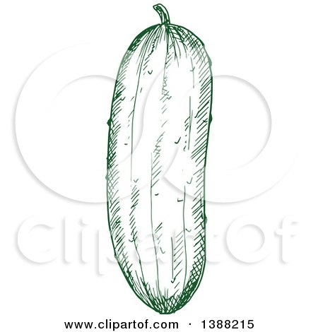 Clipart of a Sketched Green Cucumber - Royalty Free Vector Illustration by Vector Tradition SM