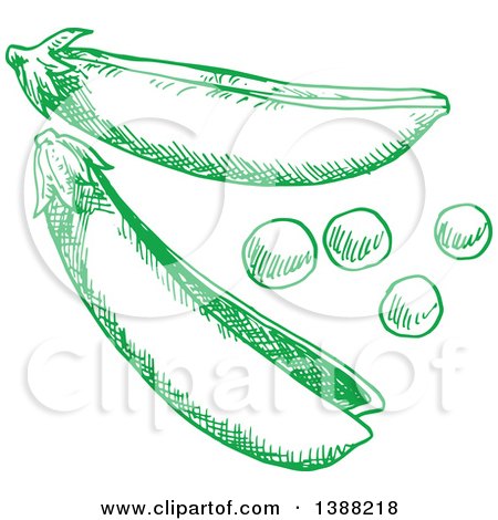 Clipart of Sketched Green Peas - Royalty Free Vector Illustration by Vector Tradition SM