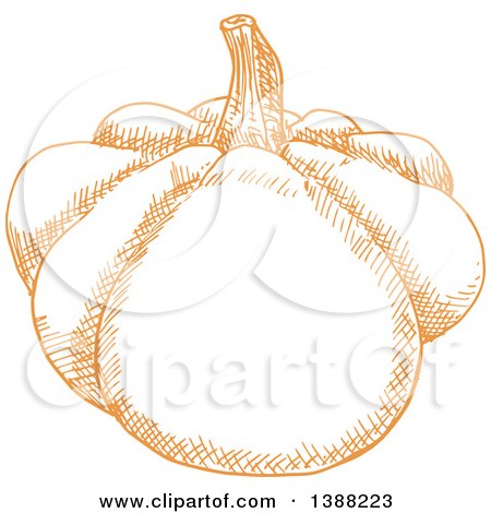 Clipart of a Sketched Orange Pumpkin or Squash - Royalty Free Vector Illustration by Vector Tradition SM