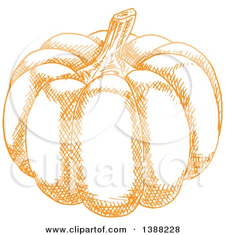 Clipart of a Sketched Orange Pumpkin - Royalty Free Vector Illustration by Vector Tradition SM