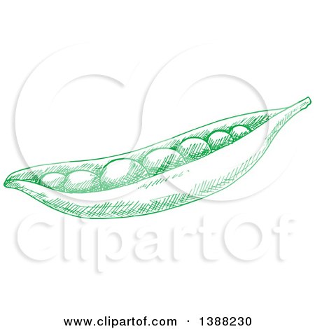 Clipart of Sketched Green Peas - Royalty Free Vector Illustration by Vector Tradition SM