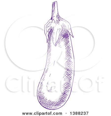 Clipart of a Sketched Purple Eggplant - Royalty Free Vector Illustration by Vector Tradition SM