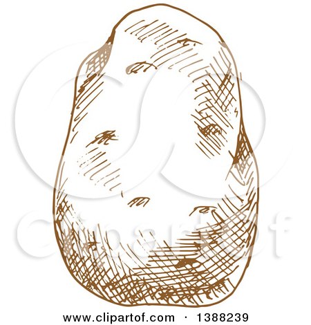 Clipart of a Sketched Brown Potato - Royalty Free Vector Illustration by Vector Tradition SM