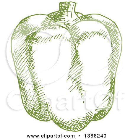 Clipart of a Sketched Green Bell Pepper - Royalty Free Vector Illustration by Vector Tradition SM