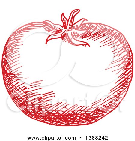Clipart of a Sketched Red Tomato - Royalty Free Vector Illustration by Vector Tradition SM
