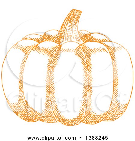 Clipart of a Sketched Orange Pumpkin - Royalty Free Vector Illustration by Vector Tradition SM