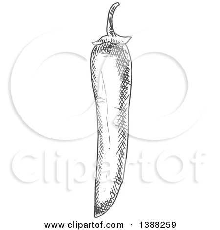 Clipart of a Sketched Gray Chili Pepper - Royalty Free Vector Illustration by Vector Tradition SM