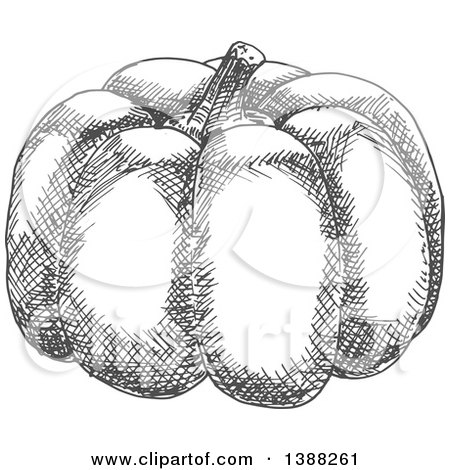 Clipart of a Sketched Gray Pumpkin - Royalty Free Vector Illustration by Vector Tradition SM