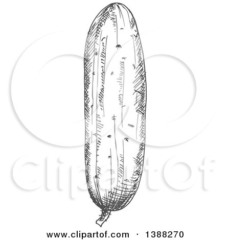 Clipart of a Sketched Gray Cucumber - Royalty Free Vector Illustration by Vector Tradition SM
