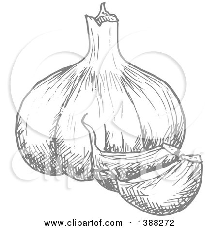Clipart of a Sketched Gray Gralic Bulb - Royalty Free Vector Illustration by Vector Tradition SM