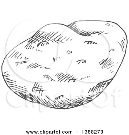Clipart of a Sketched Gray Potato - Royalty Free Vector Illustration by Vector Tradition SM