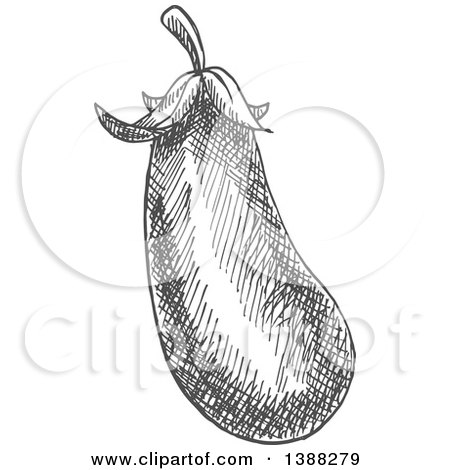 Clipart of a Sketched Gray Eggplant - Royalty Free Vector Illustration by Vector Tradition SM