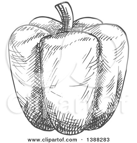 Clipart of a Sketched Gray Bell Pepper - Royalty Free Vector Illustration by Vector Tradition SM