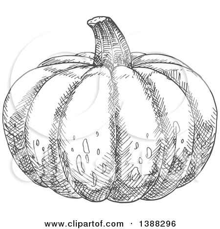 Clipart of a Sketched Gray Pumpkin - Royalty Free Vector Illustration by Vector Tradition SM