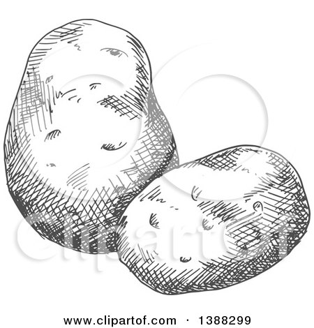 Clipart of Sketched Gray Potatoes - Royalty Free Vector Illustration by Vector Tradition SM