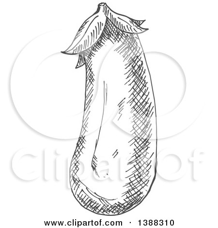 Clipart of a Sketched Gray Eggplant - Royalty Free Vector Illustration by Vector Tradition SM