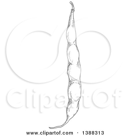 Clipart of Sketched Gray Peas - Royalty Free Vector Illustration by Vector Tradition SM