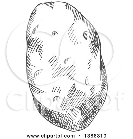 Clipart of a Sketched Gray Potato - Royalty Free Vector Illustration by Vector Tradition SM