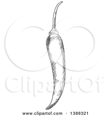 Clipart of a Sketched Gray Chili Pepper - Royalty Free Vector Illustration by Vector Tradition SM