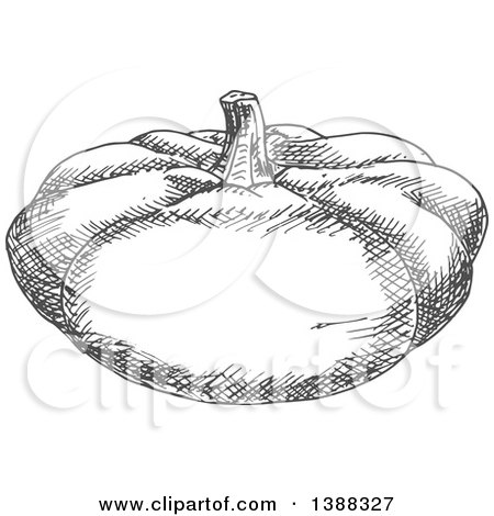 Clipart of a Sketched Gray Pumpkin or Squash - Royalty Free Vector Illustration by Vector Tradition SM