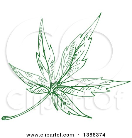 Clipart of a Sketched Green Maple Leaf - Royalty Free Vector Illustration by Vector Tradition SM