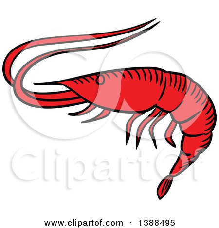 Clipart of a Sketched Prawn - Royalty Free Vector Illustration by Vector Tradition SM