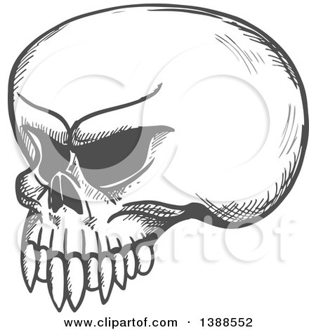 Clipart of a Sketched Gray Skull - Royalty Free Vector Illustration by Vector Tradition SM