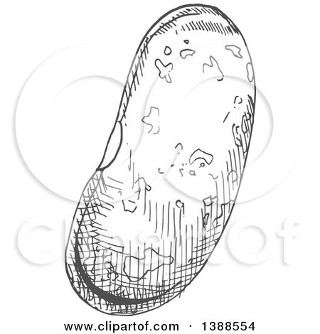 Clipart of a Sketched Gray Bean - Royalty Free Vector Illustration by Vector Tradition SM