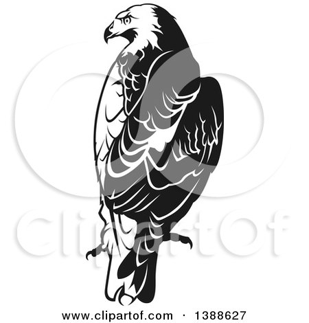 Clipart of a Black and White Tattoo Styled Eagle - Royalty Free Vector Illustration by dero