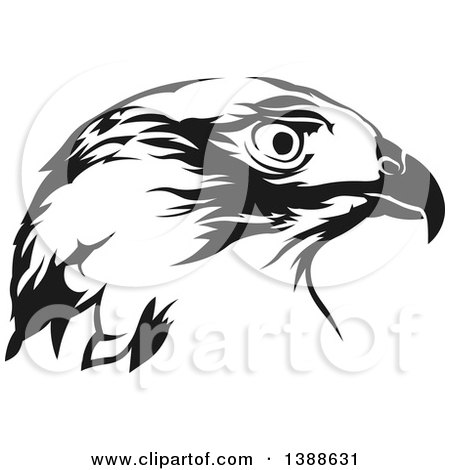 Clipart of a Black and White Tattoo Styled Eagle - Royalty Free Vector Illustration by dero