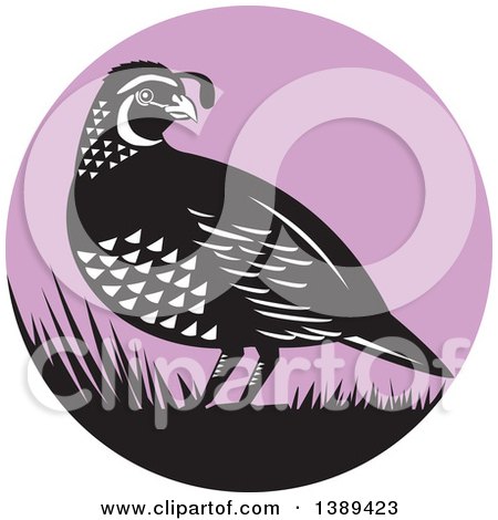 Clipart of a Retro Black and White Quail Bird and Grass in a Purple Circle - Royalty Free Vector Illustration by patrimonio