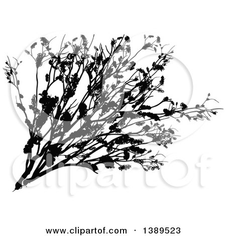 Clipart of a Black Silhouetted Shrub - Royalty Free Vector Illustration by dero