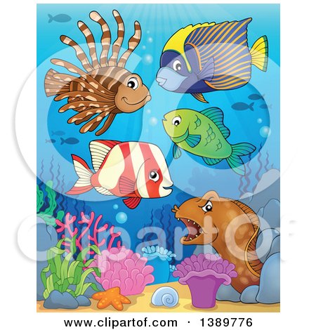 Clipart of Sea Life Underwater - Royalty Free Vector Illustration by visekart