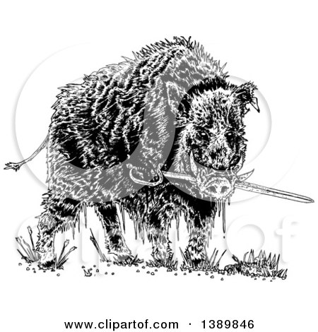 Clipart of a Black and White Wild Boar Pig Biting a Sword - Royalty Free Vector Illustration by lineartestpilot