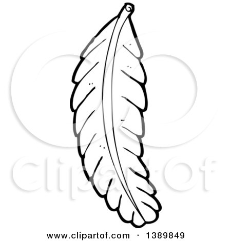 Clipart of a Cartoon Black and White Lineart Bird Feather - Royalty Free Vector Illustration by lineartestpilot