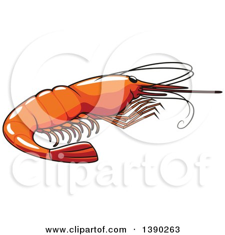 Clipart of a Prawn or Shrimp - Royalty Free Vector Illustration by Vector Tradition SM