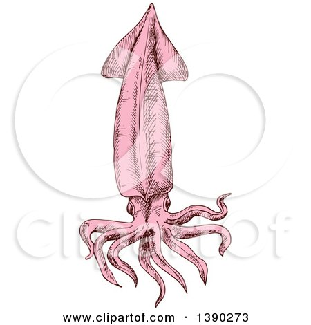 Clipart of a Sketched Pink Squid - Royalty Free Vector Illustration by Vector Tradition SM