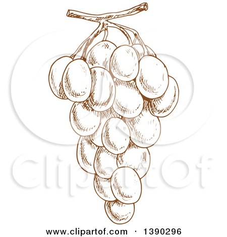 Clipart of a Brown Sketched Bunch of Grapes - Royalty Free Vector Illustration by Vector Tradition SM