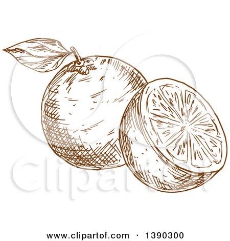 Clipart of a Brown Sketched Navel Orange - Royalty Free Vector Illustration by Vector Tradition SM