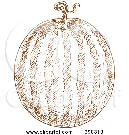 Clipart of a Brown Sketched Watermelon - Royalty Free Vector Illustration by Vector Tradition SM