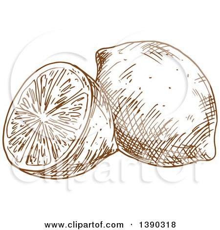 Clipart of a Brown Sketched Lemon or Lime - Royalty Free Vector Illustration by Vector Tradition SM
