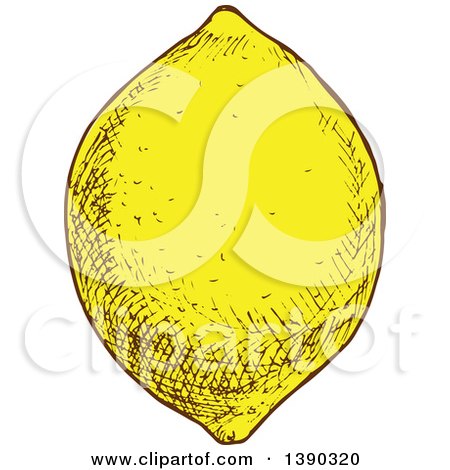 Clipart of a Sketched Lemon - Royalty Free Vector Illustration by Vector Tradition SM