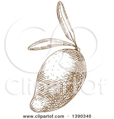 Clipart of a Brown Sketched Mango - Royalty Free Vector Illustration by Vector Tradition SM