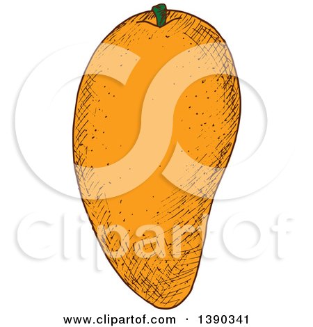 Clipart of a Sketched Mango - Royalty Free Vector Illustration by Vector Tradition SM