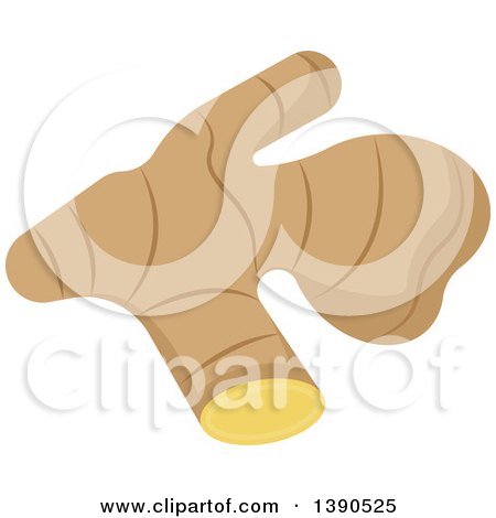 Clipart of a Culinary Spice Herb, Ginger Root - Royalty Free Vector Illustration by Vector Tradition SM