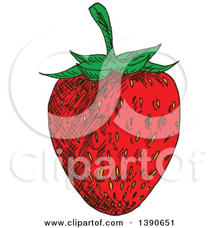 Clipart of a Sketched Strawberry - Royalty Free Vector Illustration by Vector Tradition SM